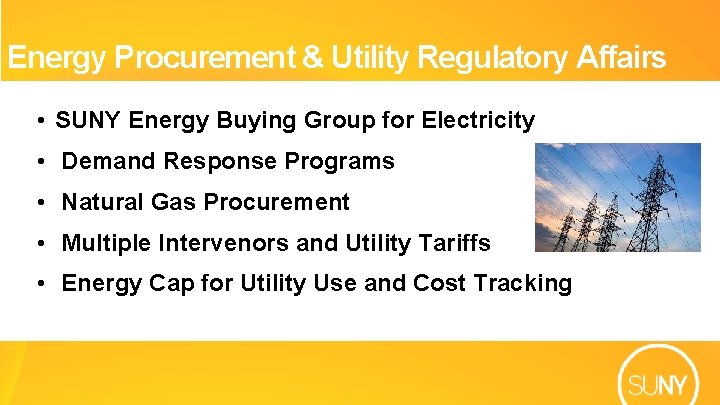 Energy Procurement & Utility Regulatory Affairs • SUNY Energy Buying Group for Electricity •