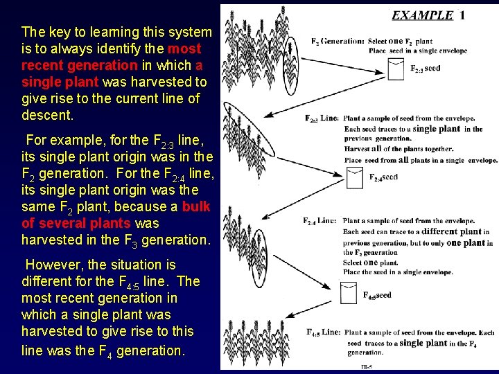The key to learning this system is to always identify the most recent generation