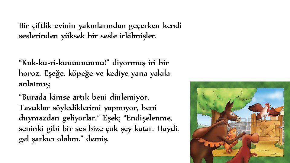 Bir çiftlik evinin yakınlarından geçerken kendi seslerinden yüksek bir sesle irkilmişler. “Kuk-ku-ri-kuuuuu!” diyormuş iri