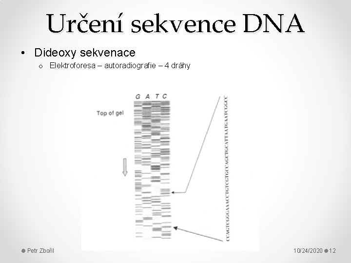 Určení sekvence DNA • Dideoxy sekvenace o Elektroforesa – autoradiografie – 4 dráhy Petr