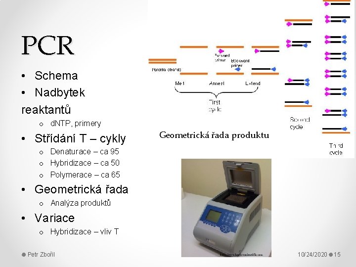 PCR • Schema • Nadbytek reaktantů o d. NTP, primery • Střídání T –