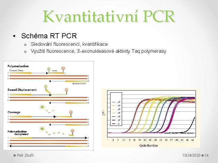 Kvantitativní PCR • Schéma RT PCR o Sledování fluorescencí, kvantifikace o Využití fluorescence, 3‘-exonukleasové