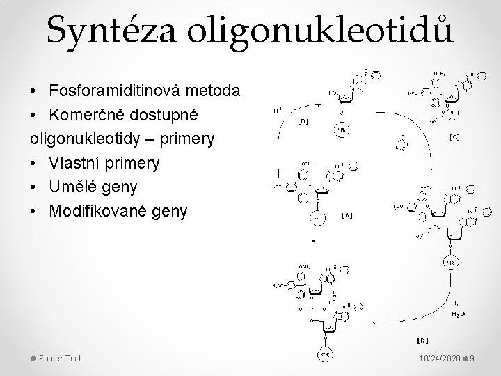Syntéza oligonukleotidů • Fosforamiditinová metoda • Komerčně dostupné oligonukleotidy – primery • Vlastní primery