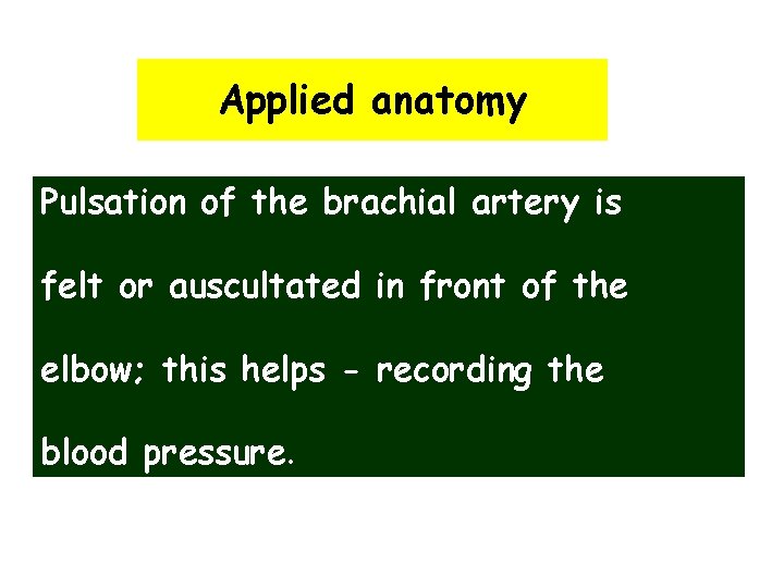 Applied anatomy Pulsation of the brachial artery is felt or auscultated in front of