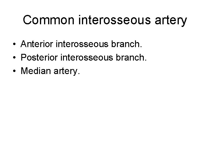 Common interosseous artery • Anterior interosseous branch. • Posterior interosseous branch. • Median artery.