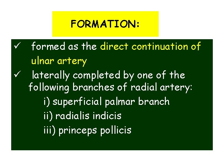 FORMATION: ü formed as the direct continuation of ulnar artery ü laterally completed by