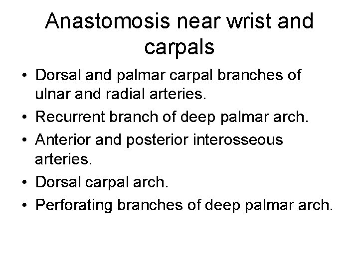 Anastomosis near wrist and carpals • Dorsal and palmar carpal branches of ulnar and
