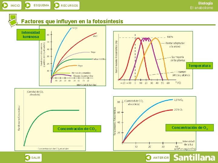 INICIO ESQUEMA Biología El anabolismo RECURSOS Factores que influyen en la fotosíntesis Intensidad luminosa