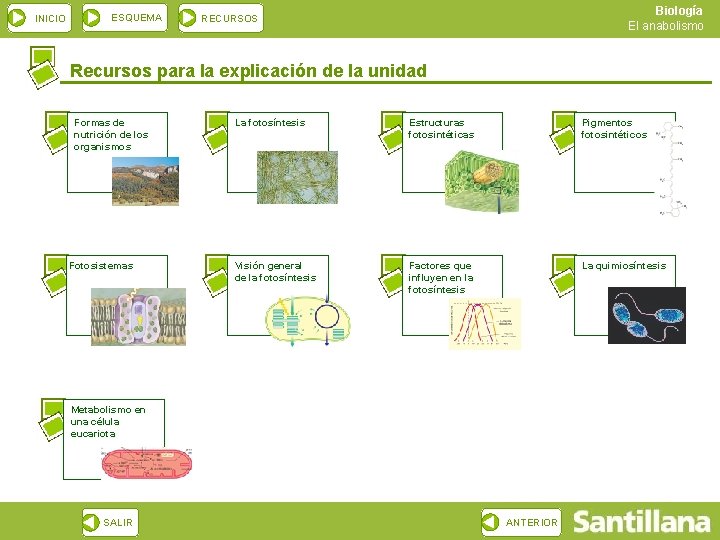 INICIO ESQUEMA Biología El anabolismo RECURSOS Recursos para la explicación de la unidad Formas