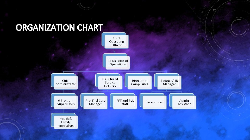 ORGANIZATION CHART 