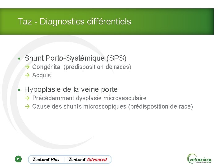 Taz - Diagnostics différentiels • Shunt Porto-Systémique (SPS) à Congénital (prédisposition de races) à