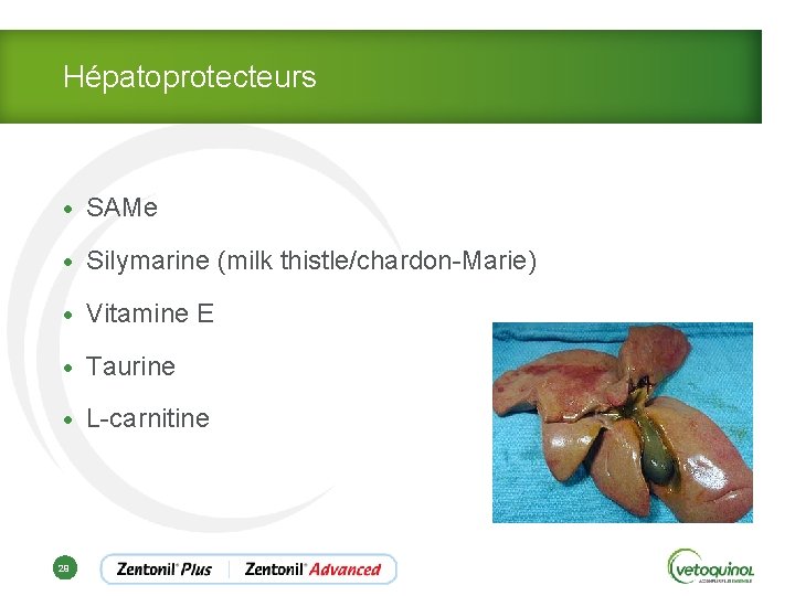 Hépatoprotecteurs • SAMe • Silymarine (milk thistle/chardon-Marie) • Vitamine E • Taurine • L-carnitine
