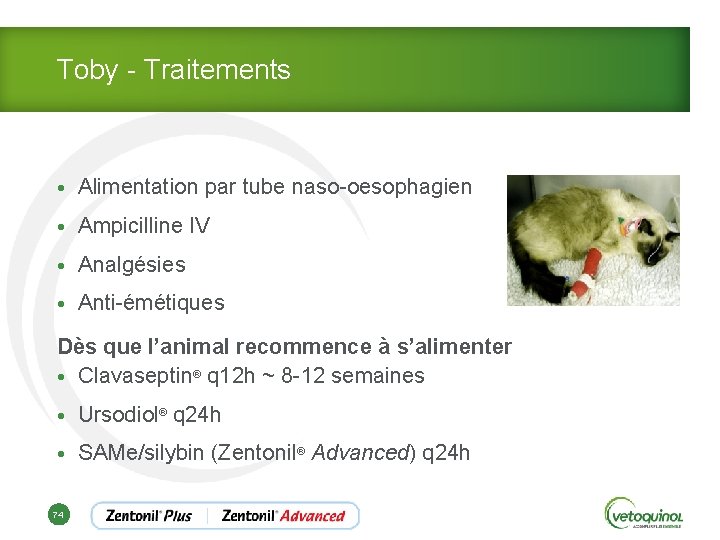 Toby - Traitements • Alimentation par tube naso-oesophagien • Ampicilline IV • Analgésies •