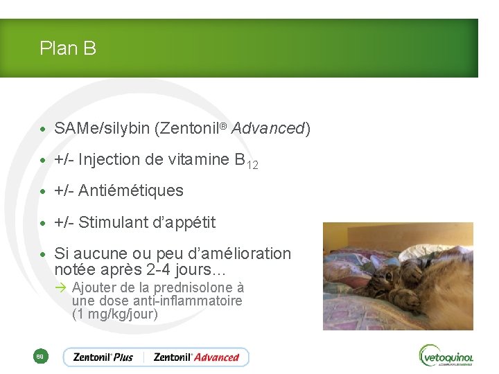 Plan B • SAMe/silybin (Zentonil® Advanced) • +/- Injection de vitamine B 12 •