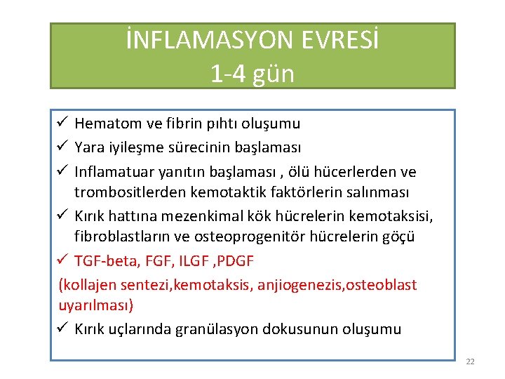 İNFLAMASYON EVRESİ 1 -4 gün ü Hematom ve fibrin pıhtı oluşumu ü Yara iyileşme