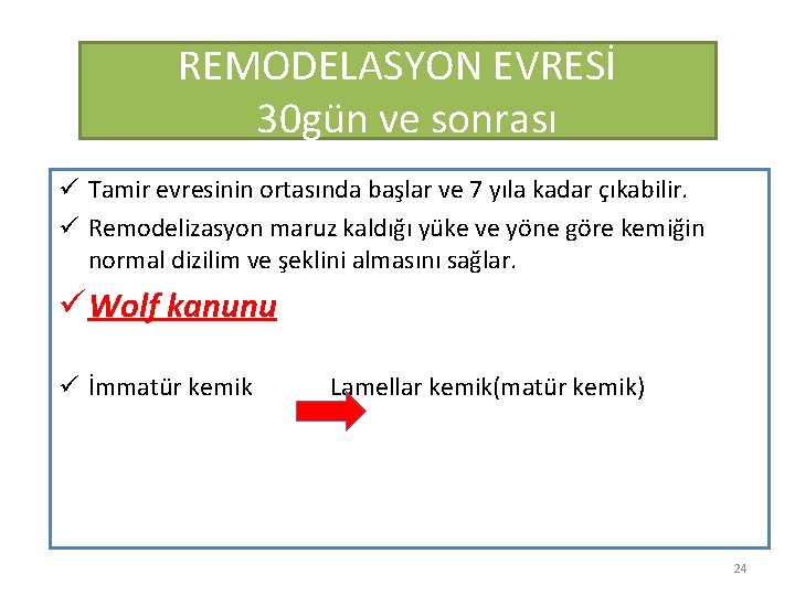 REMODELASYON EVRESİ 30 gün ve sonrası ü Tamir evresinin ortasında başlar ve 7 yıla