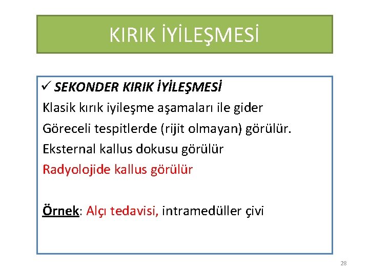 KIRIK İYİLEŞMESİ ü SEKONDER KIRIK İYİLEŞMESİ Klasik kırık iyileşme aşamaları ile gider Göreceli tespitlerde