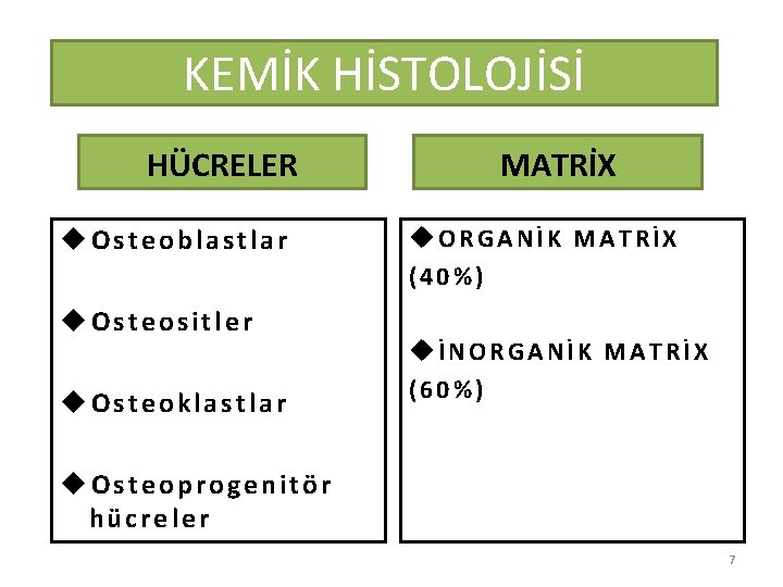 KEMİK HİSTOLOJİSİ HÜCRELER u. Osteoblastlar u. Osteositler u. Osteoklastlar MATRİX u. ORGANİK MATRİX (40%)
