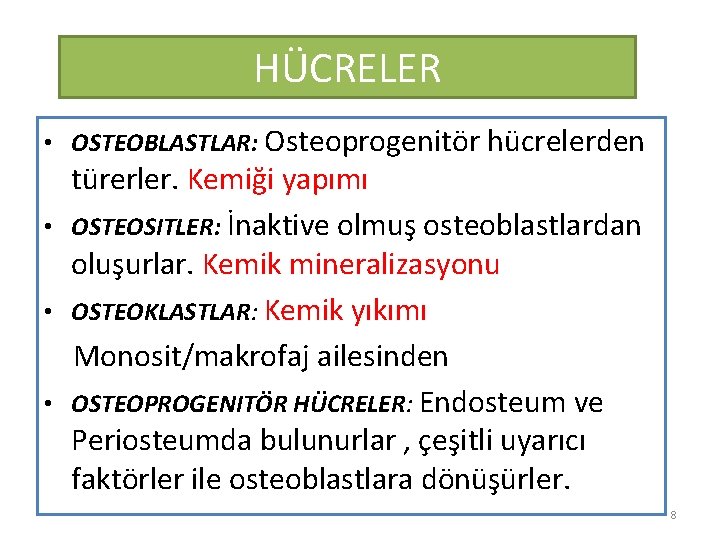 HÜCRELER • OSTEOBLASTLAR: Osteoprogenitör hücrelerden türerler. Kemiği yapımı • OSTEOSITLER: İnaktive olmuş osteoblastlardan oluşurlar.