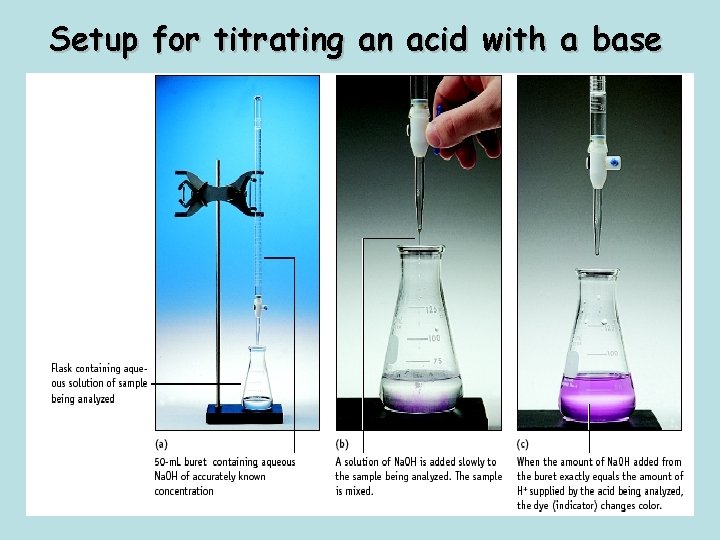 Setup for titrating an acid with a base 