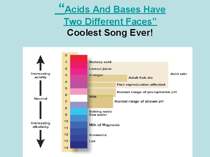 “Acids And Bases Have Two Different Faces” Coolest Song Ever! 