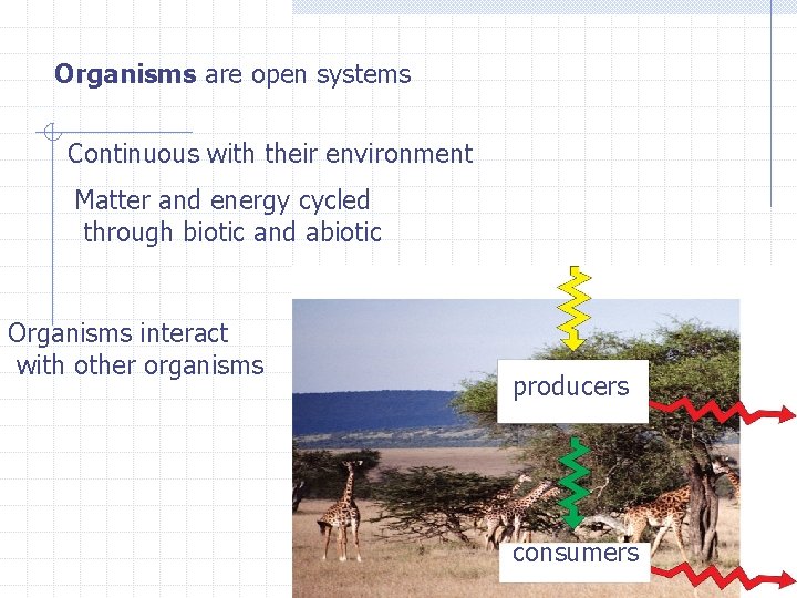 Organisms are open systems Continuous with their environment Matter and energy cycled through biotic