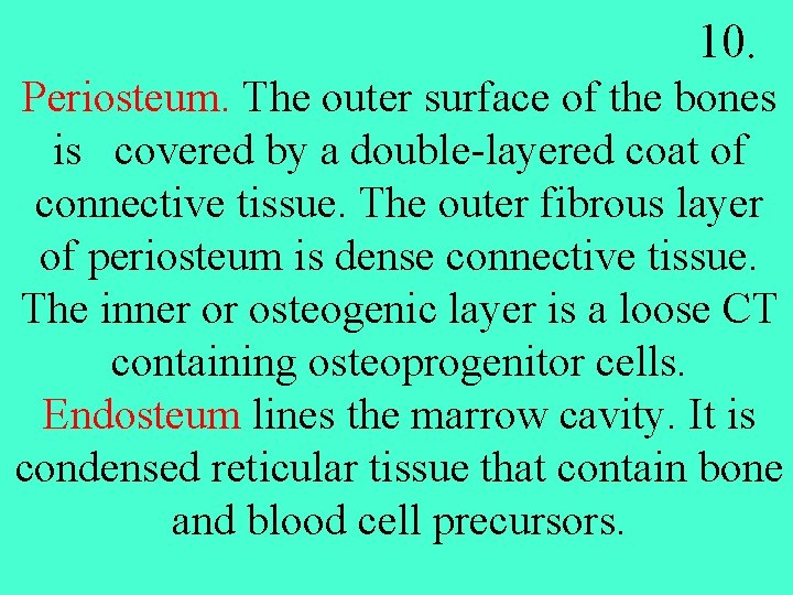 10. Periosteum. The outer surface of the bones is covered by a double-layered coat