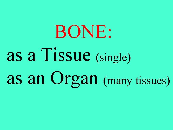 BONE: as a Tissue (single) as an Organ (many tissues) 