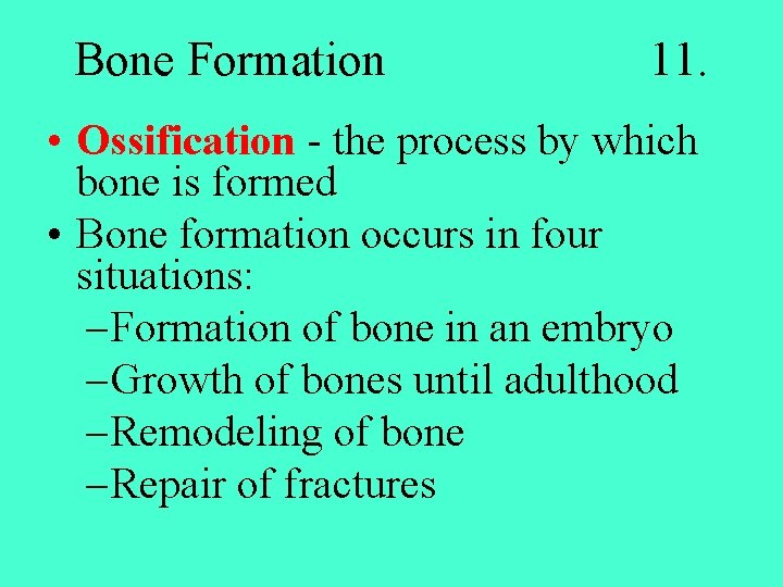 Bone Formation 11. • Ossification - the process by which bone is formed •