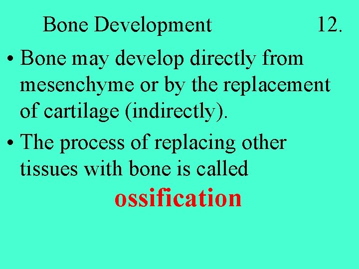 Bone Development 12. • Bone may develop directly from mesenchyme or by the replacement