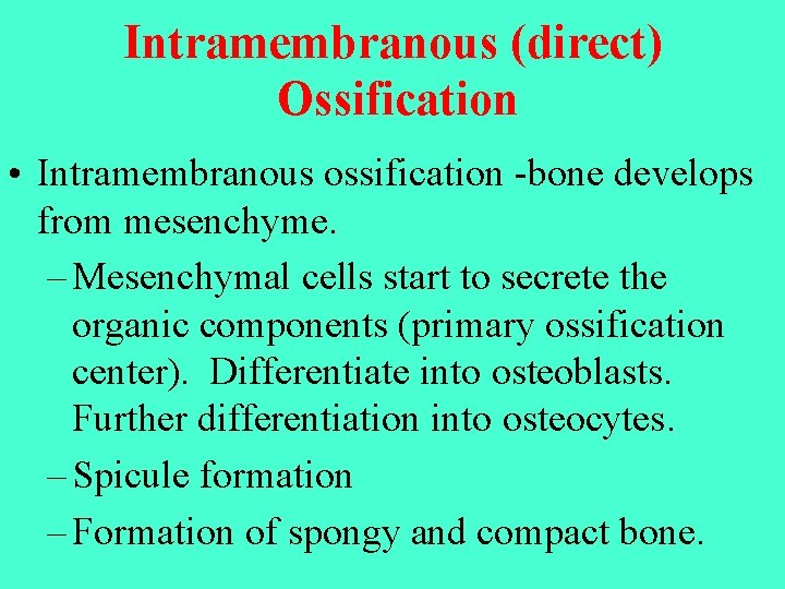 Intramembranous (direct) Ossification • Intramembranous ossification -bone develops from mesenchyme. – Mesenchymal cells start