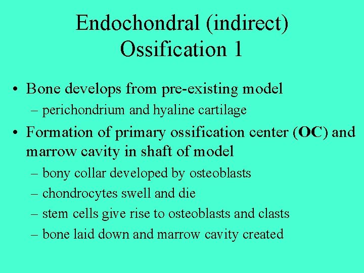 Endochondral (indirect) Ossification 1 • Bone develops from pre-existing model – perichondrium and hyaline