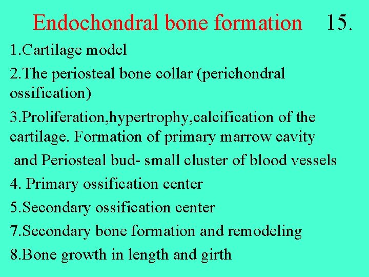 Endochondral bone formation 15. 1. Cartilage model 2. The periosteal bone collar (perichondral ossification)