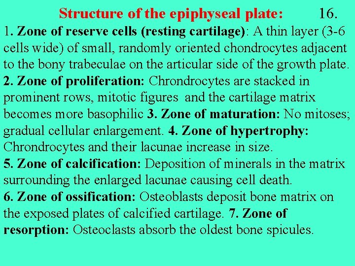 Structure of the epiphyseal plate: 16. 1. Zone of reserve cells (resting cartilage): A