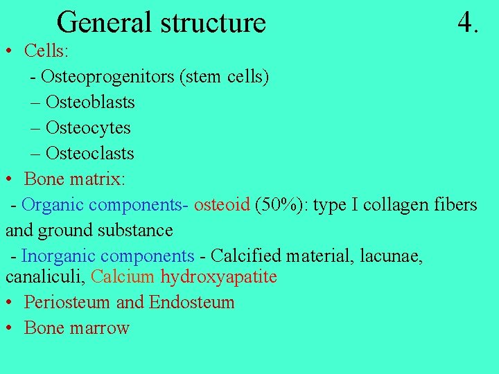 General structure 4. • Cells: - Osteoprogenitors (stem cells) – Osteoblasts – Osteocytes –
