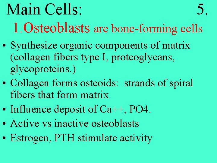Main Cells: 5. 1. Osteoblasts are bone-forming cells • Synthesize organic components of matrix