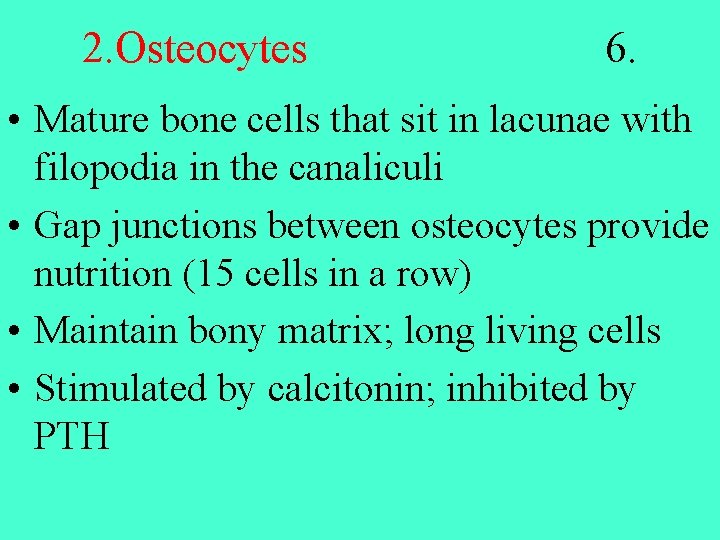 2. Osteocytes 6. • Mature bone cells that sit in lacunae with filopodia in