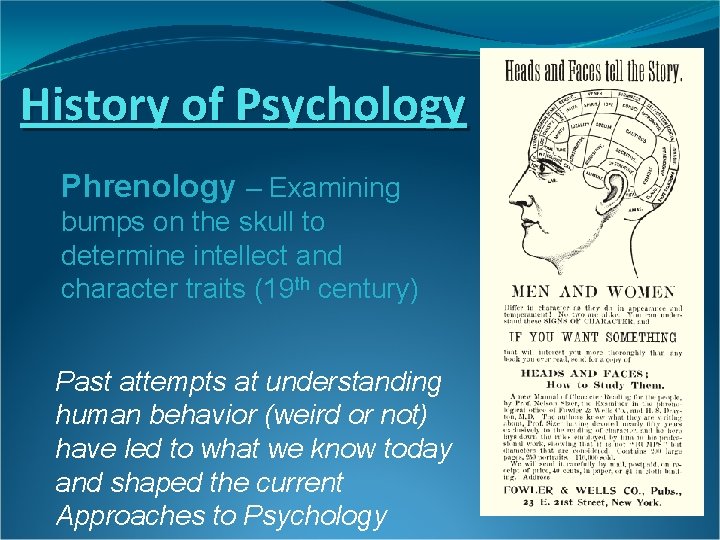 History of Psychology Phrenology – Examining bumps on the skull to determine intellect and