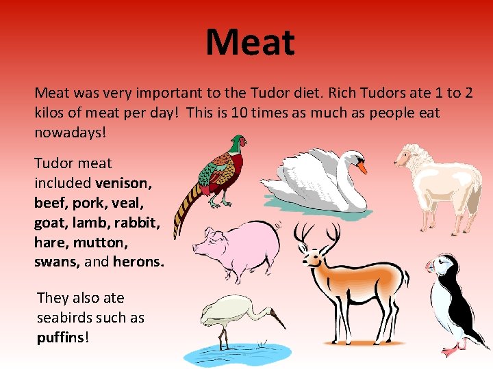 Meat was very important to the Tudor diet. Rich Tudors ate 1 to 2