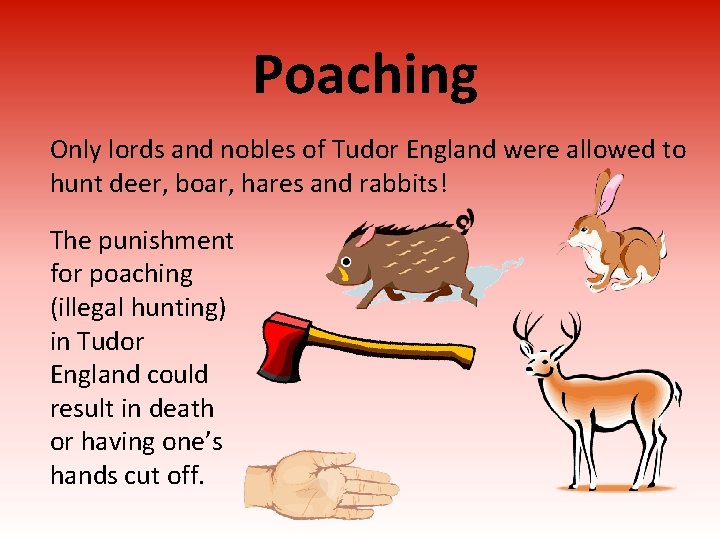 Poaching Only lords and nobles of Tudor England were allowed to hunt deer, boar,