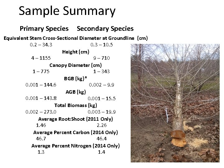 Sample Summary Primary Species Secondary Species Equivalent Stem Cross-Sectional Diameter at Groundline (cm) 0.