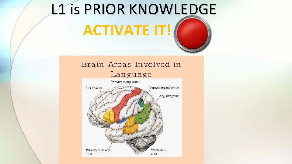 L 1 is PRIOR KNOWLEDGE ACTIVATE IT! 