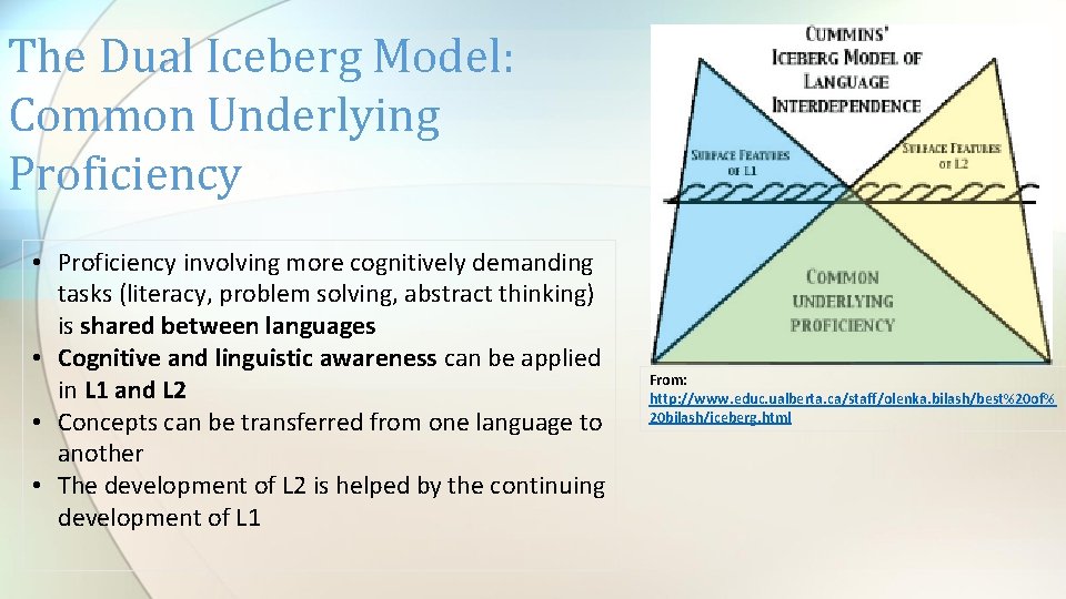 The Dual Iceberg Model: Common Underlying Proficiency • Proficiency involving more cognitively demanding tasks
