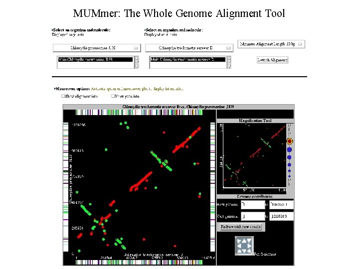 MUMmer: The Whole Genome Alignment Tool 