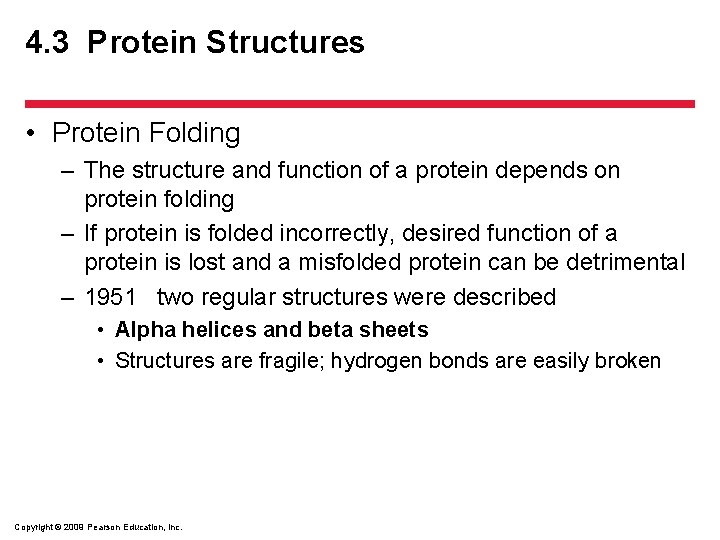 4. 3 Protein Structures • Protein Folding – The structure and function of a