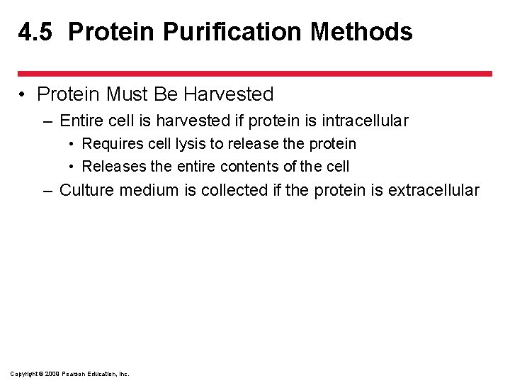 4. 5 Protein Purification Methods • Protein Must Be Harvested – Entire cell is