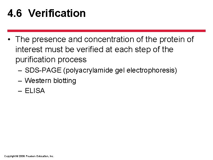 4. 6 Verification • The presence and concentration of the protein of interest must