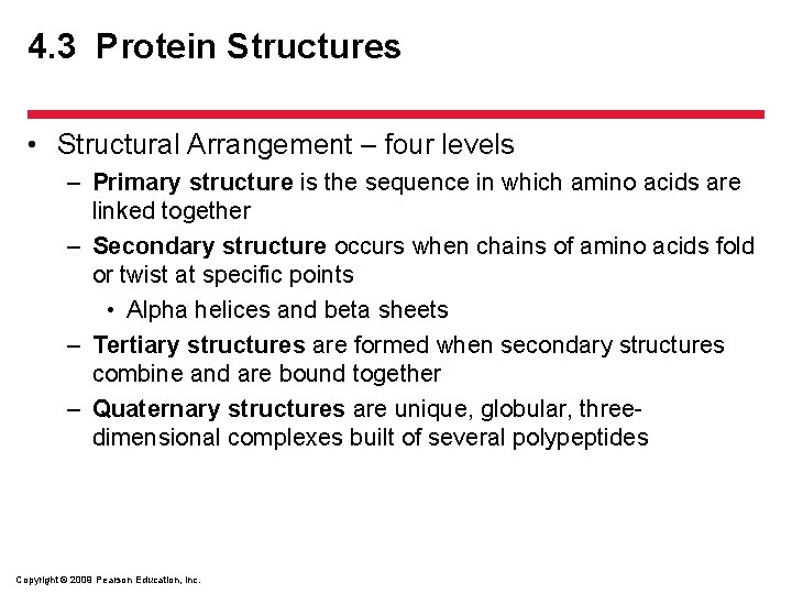 4. 3 Protein Structures • Structural Arrangement – four levels – Primary structure is