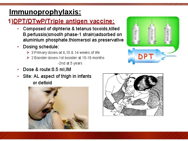 Immunoprophylaxis: 1)DPT/DTw. P/Triple antigen vaccine: • Composed of diphteria & tetanus toxoids, killed B.