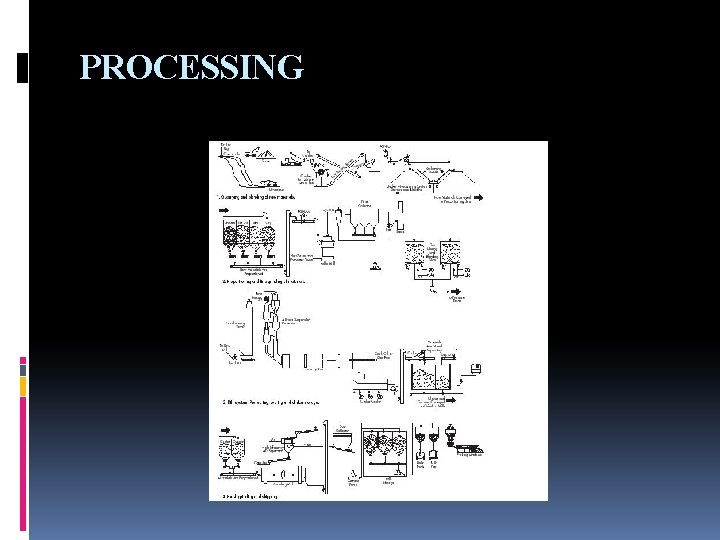 PROCESSING 